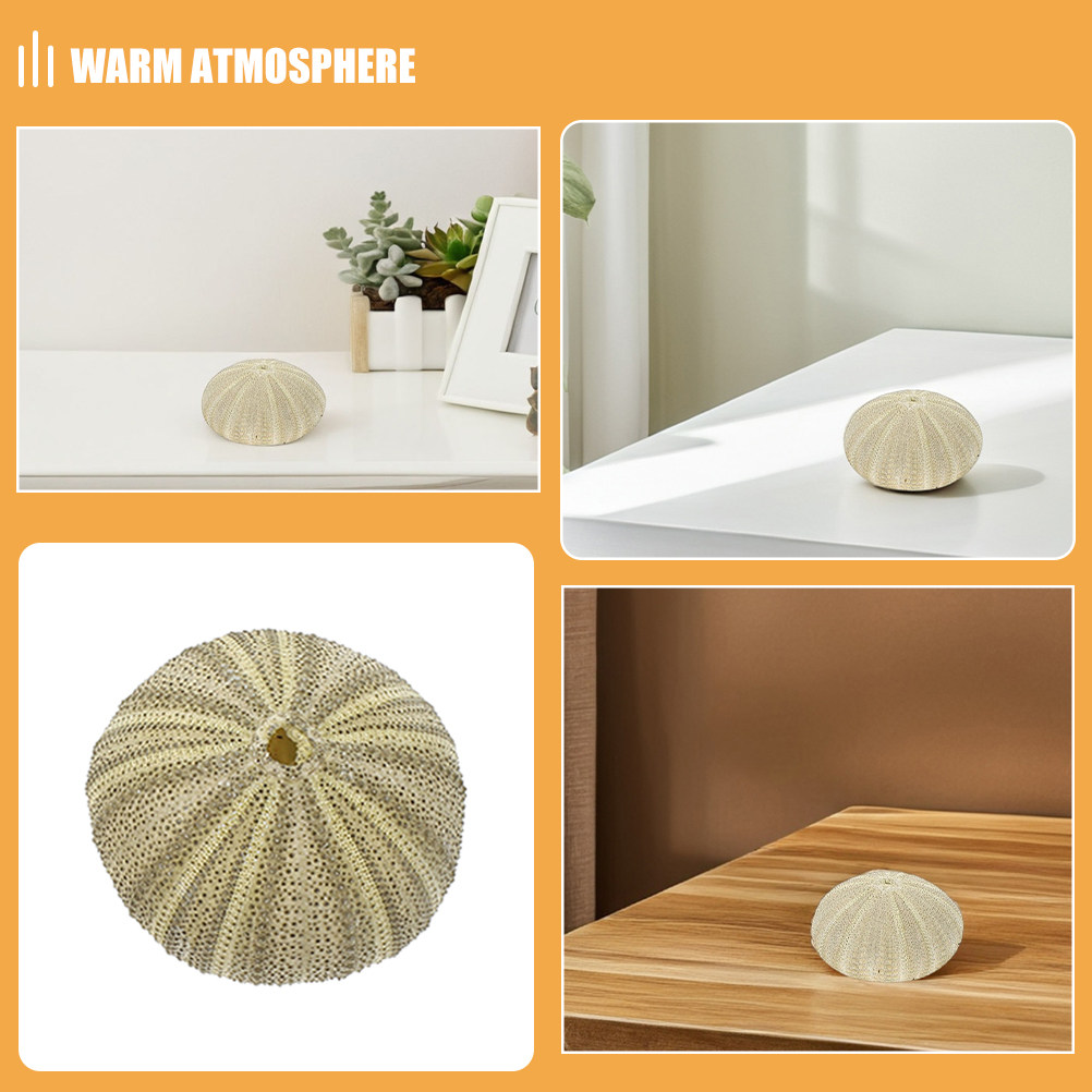 18 Conchiglie di Riccio per De - Art Craft Home recensione e prezzo