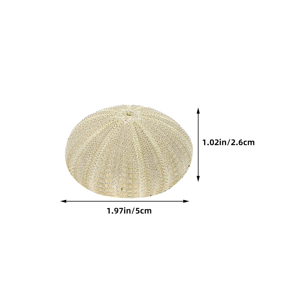 18 Conchiglie di Riccio per De - Art Craft Home recensione e prezzo