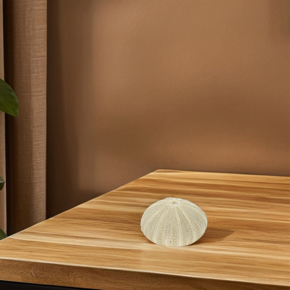 18 Conchiglie di Riccio per De - Art Craft Home recensione e prezzo