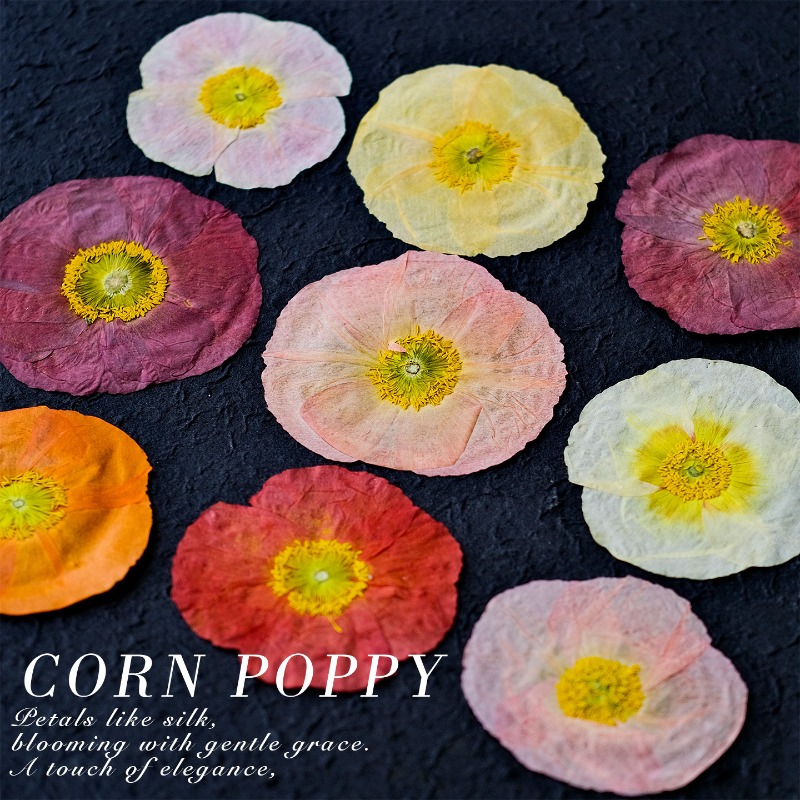 1 pz, Fiori di Papavero Natura - Art And Craft Nature recensione e prezzo