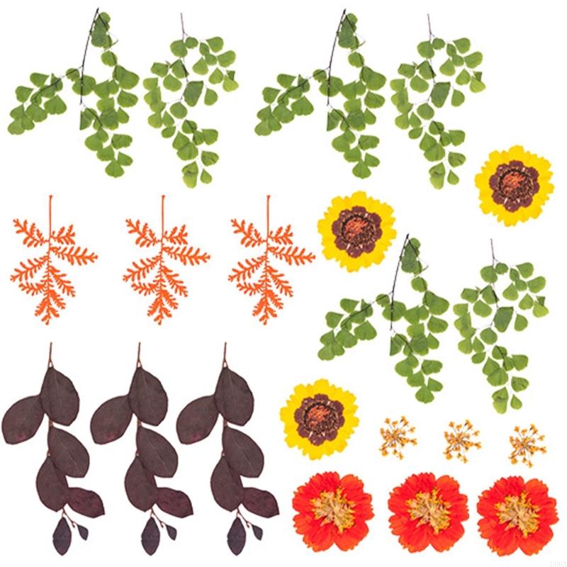 Fiori pressati essiccati per s - Art And Craft Nature recensione e prezzo