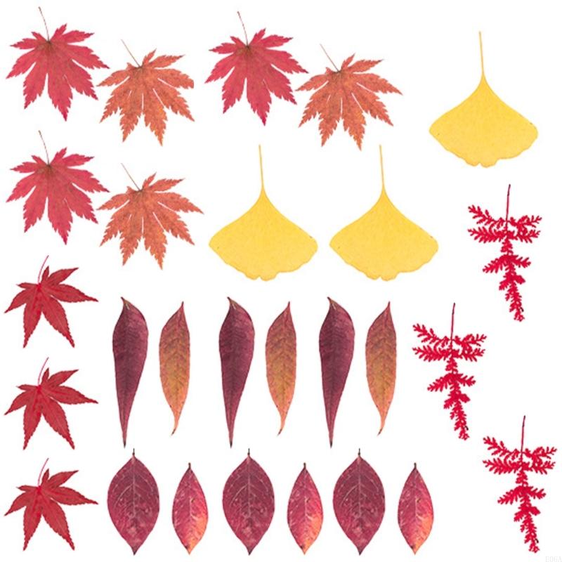 Fiori pressati essiccati per s - Art And Craft Nature recensione e prezzo