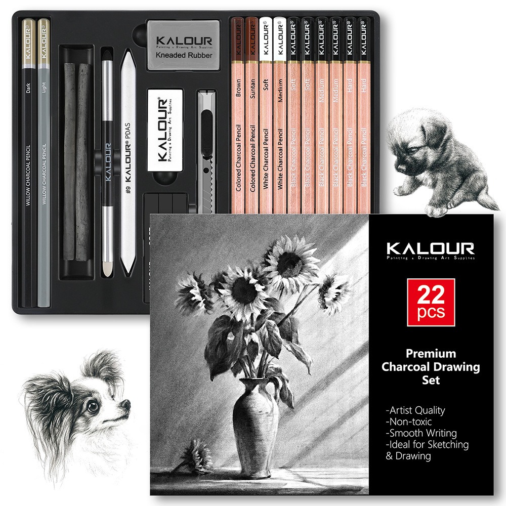 KALOUR Set di 25/22 Pezzi per  - Sketching Charcoal Set recensione e prezzo